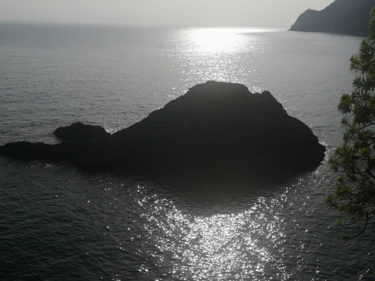 La Rosa Dei Venti Hotel Monterosso al Mare Eksteriør billede