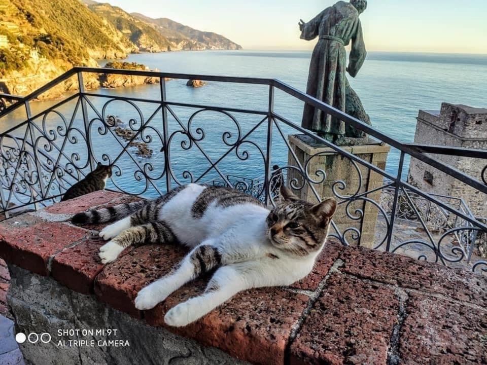 La Rosa Dei Venti Hotel Monterosso al Mare Eksteriør billede